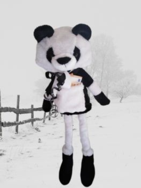 Großer Pandabär Geldgeschenk